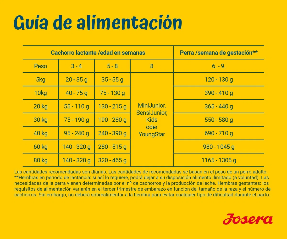 JOSERA Family Plus (1 x 12,5 kg) | Puppy | Comida Seca Premium para Perras y Cachorros preñadores/Lactantes | salmón y Aves de Corral | Suministro óptimo con Enegie y L-carnitina | Sin Trigo | 1