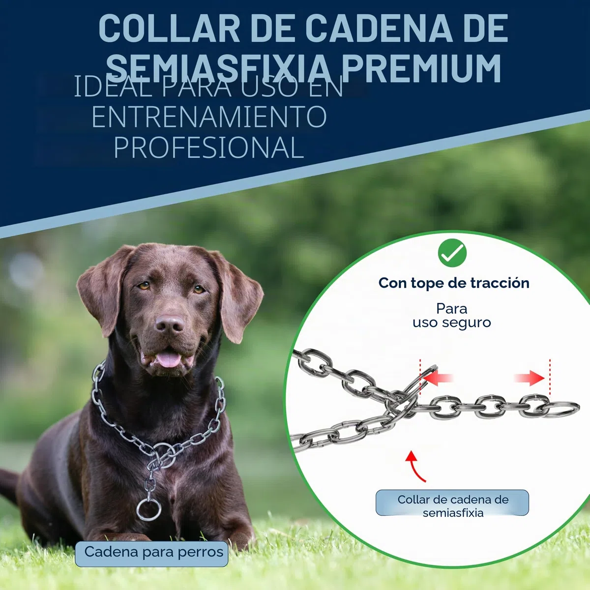 Cadena para Perro de Acero Inoxidable con mosquetón Fijo – Eslabones Largos – 4 mm x 48 cm