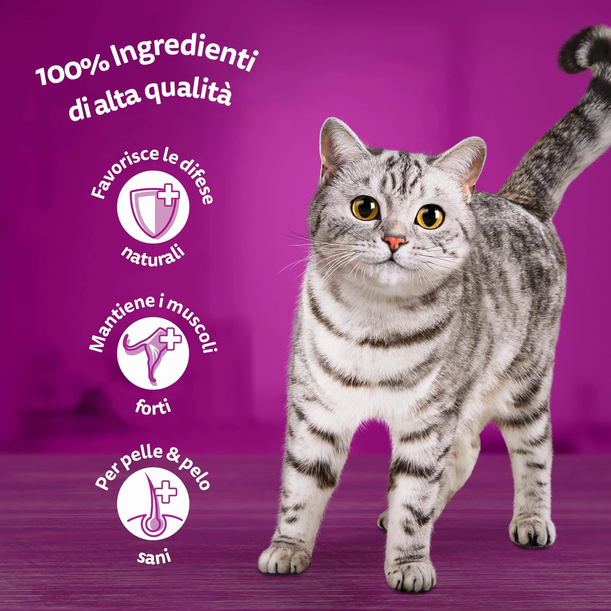 Whiskas Comida Seca para Gatos Adultos, 14 x 300 g, con Pollo