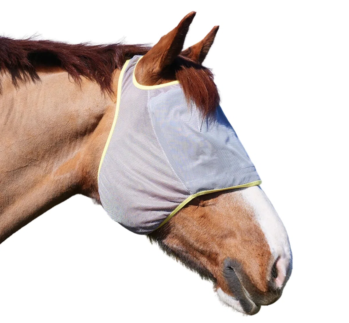 Signature Unisex's EQB0825 - Máscara Antimoscas Caballos de Alivio de Campo, Color Gris y Amarillo, Talla S