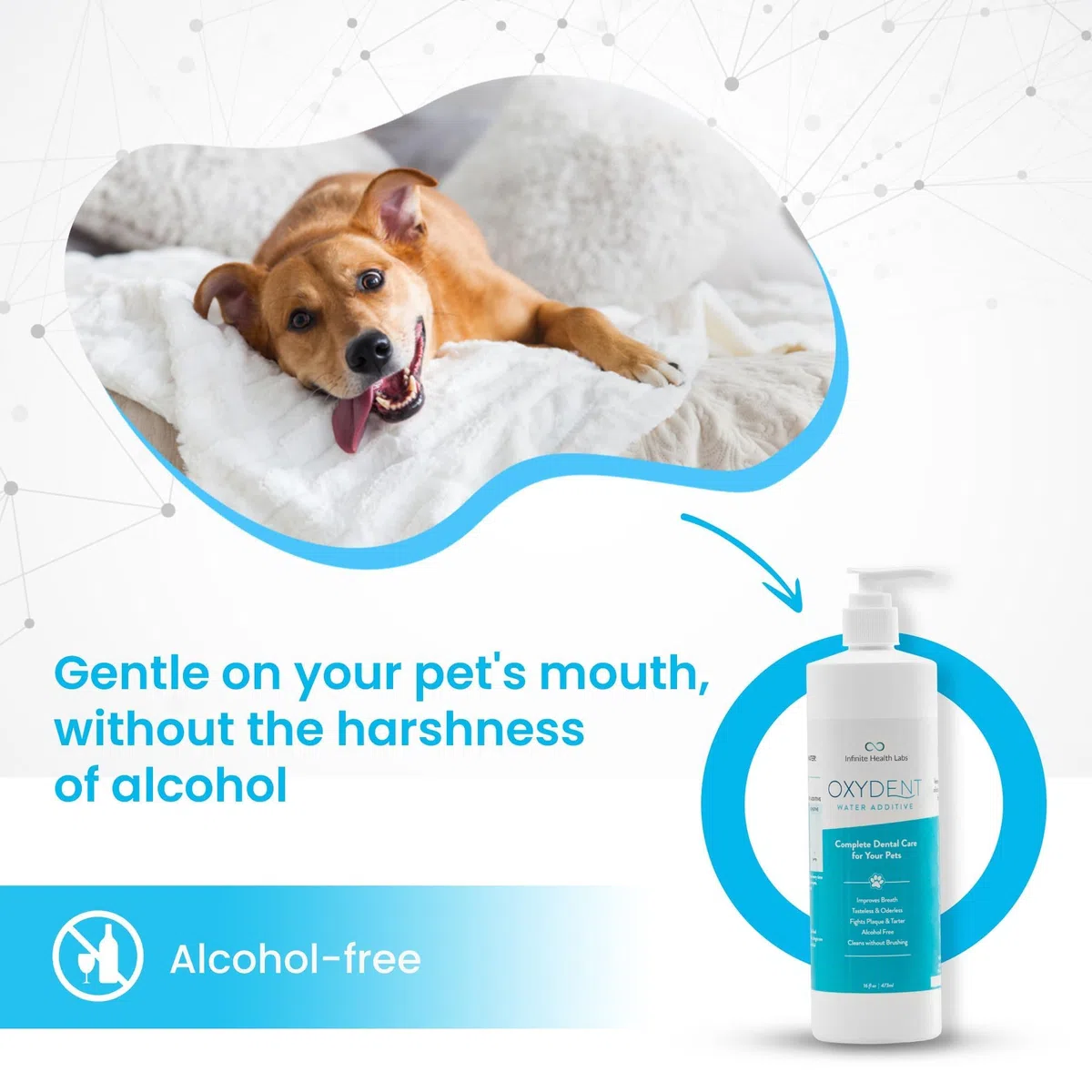 Aditivo de Agua Oydent: Cuidado Dental Completo para Tus Mascotas
