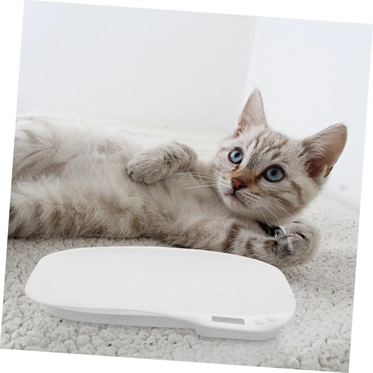 ifundom Báscula Digital Material Abs Blanco para Mascotas Sensores de Alta Precisión y Resultados Estables Adecuado para Uso en Casa o Clínica Veterinaria para Uso en Casa o Clínica Veterinaria