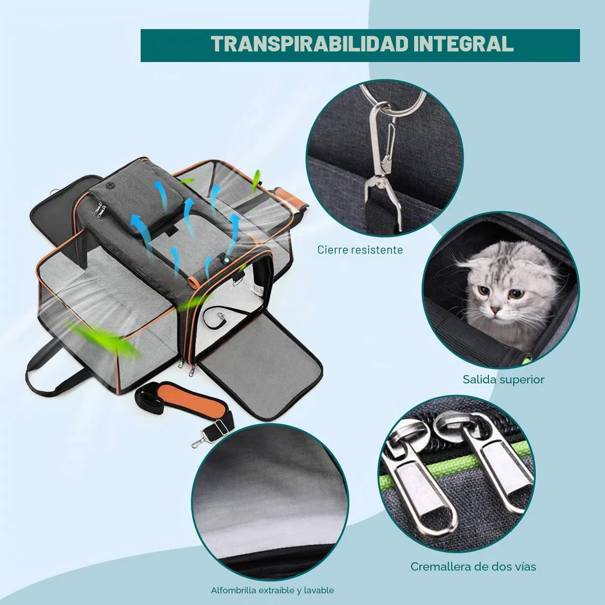 PETCUTE Transportín Extensible para Perros,Bolsa de Transporte Plegable para Gatos con Colchón Suave,Cinturón de Seguridad,Transportín Perro Pequeño,Ideal para Automóvil/Compras/Aire Libre