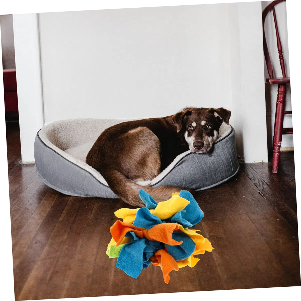 Kisangel 1 Pc de Juguete Dog Toys comedero para Perros Juguete de Entrenamiento para Cachorros s de alimentación Lenta para Perros para Mascota