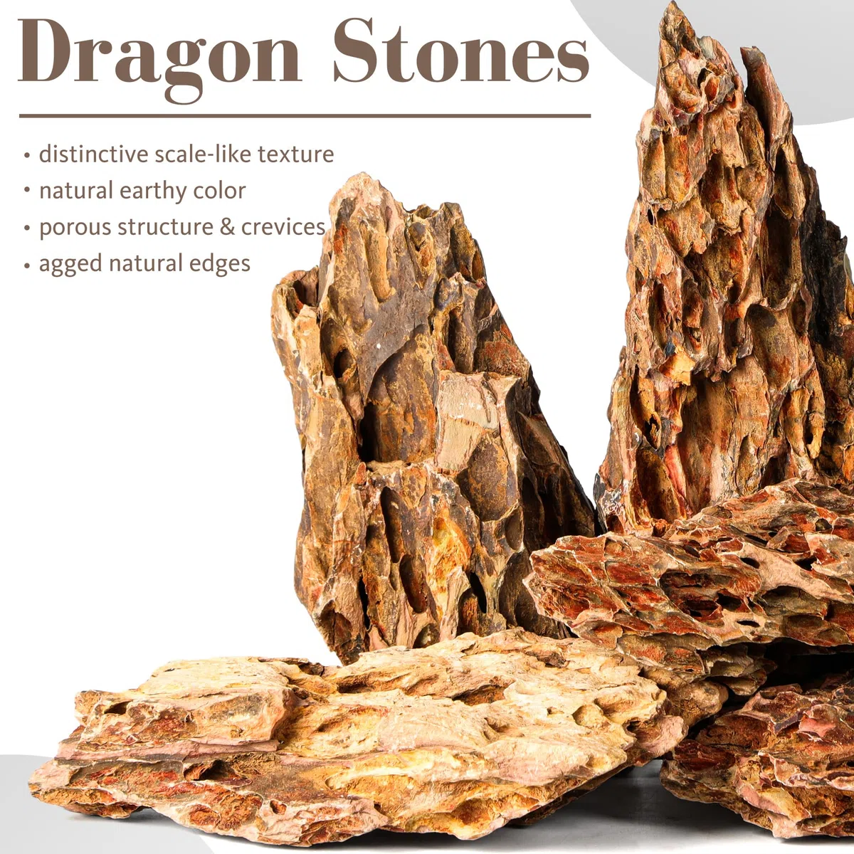 Piedra Dragon Natural 15,5-20,5 cm, Juego de 6 Piedras Grandes para Aquascaping, Terrarios y Decoración de Acuarios