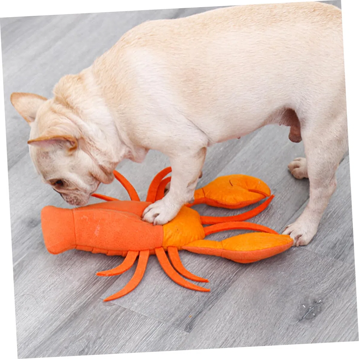 FRCOLOR 2 Juguetes para Alimentar Mascotas Juguetes Rellenos para Perros Accesorios de Limpieza comederos para Mascotas Accesorios para Cachorros Juguetes de Peluche una Pieza Muestra Tela de Fieltro