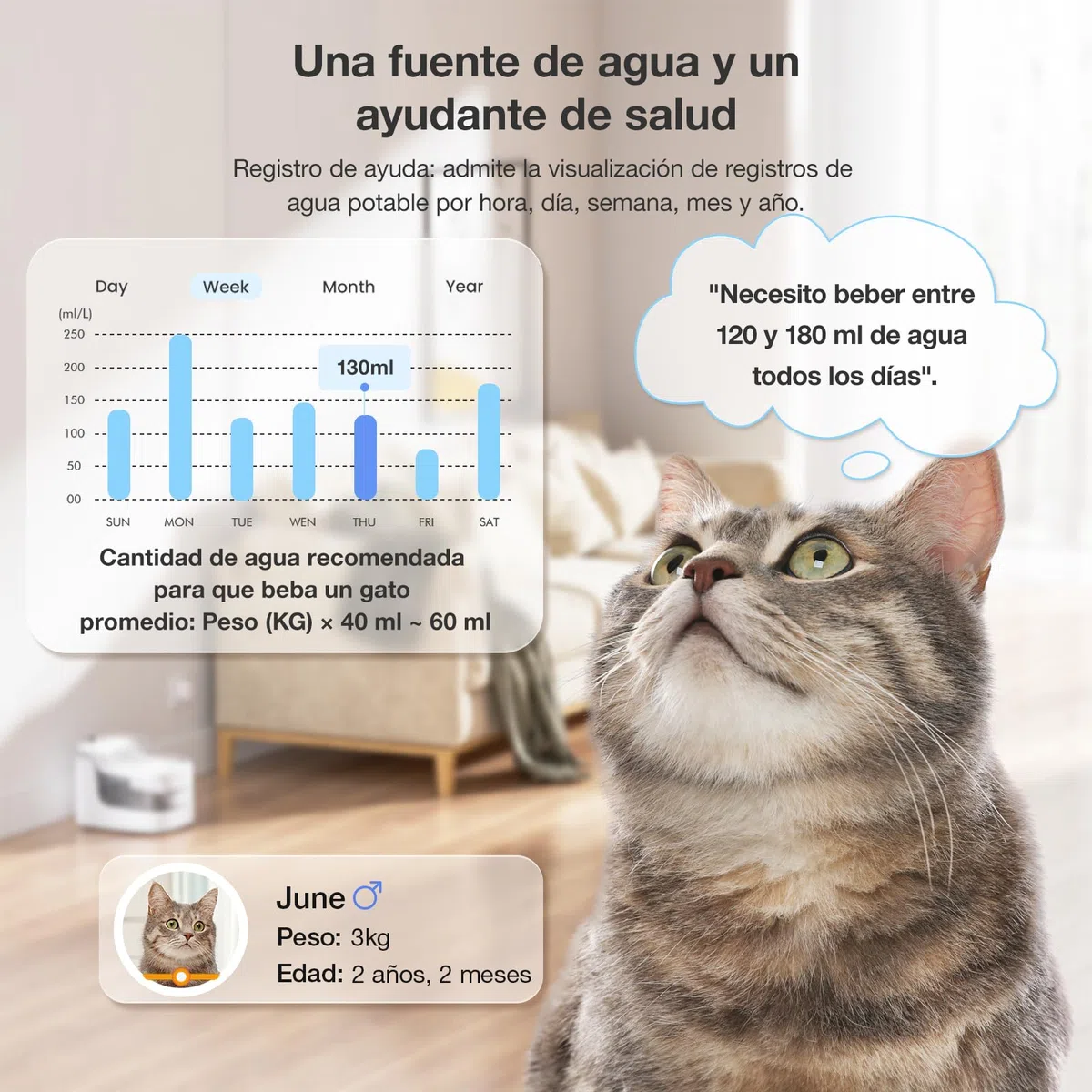 PETGUGU Fuente para Gatos Inteligente de 2L, Bebedero Gato Automático con Bomba Inalámbrica y Sensor, Filtro de 8 Capas, Fuente de Agua para Gatos Ultrasilenciosa con Conexión WiFi 2.4G