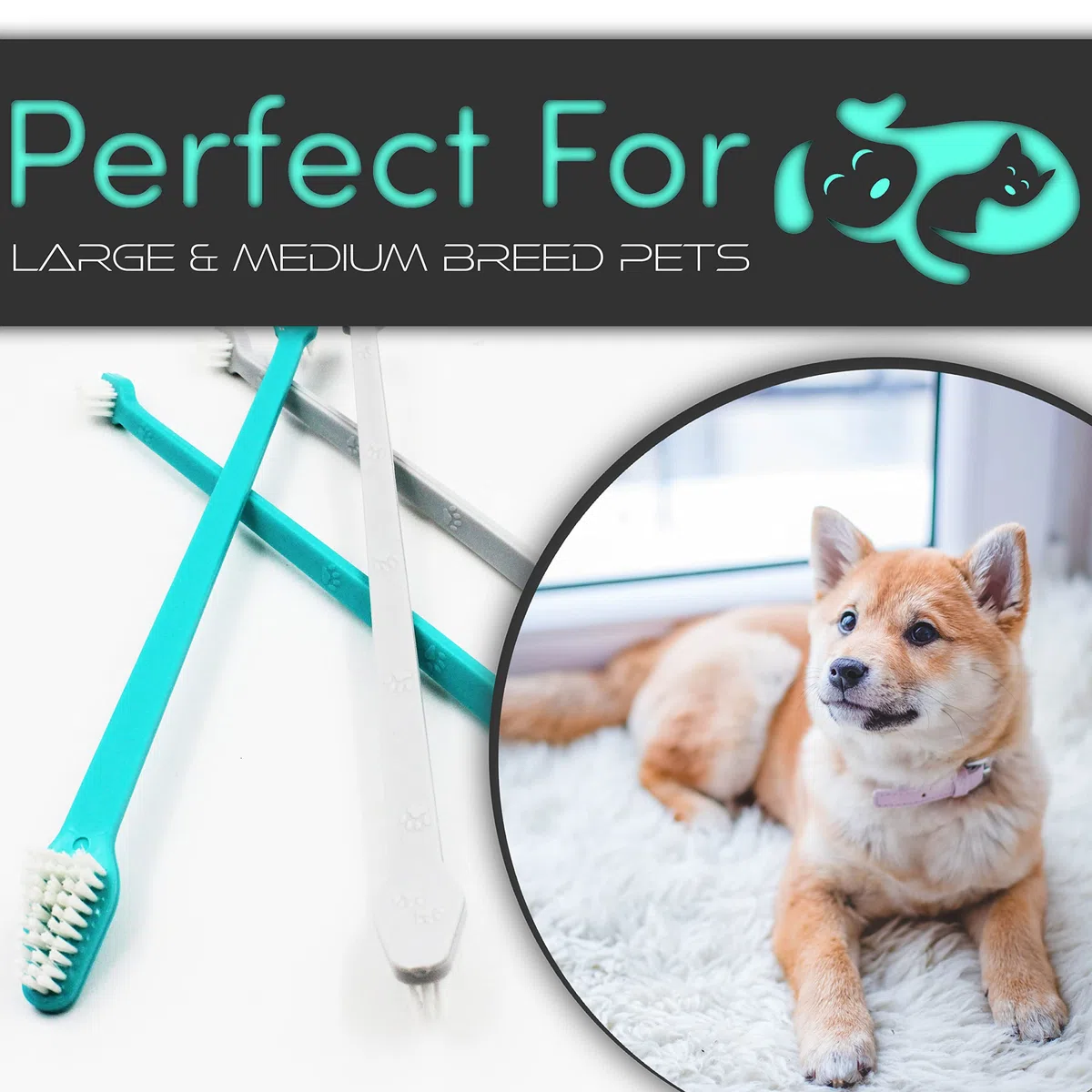 H&H Pets Cepillo de dientes para perros con diseño de doble cabeza para perros pequeños y grandes, paquete de 4 u 8 unidades