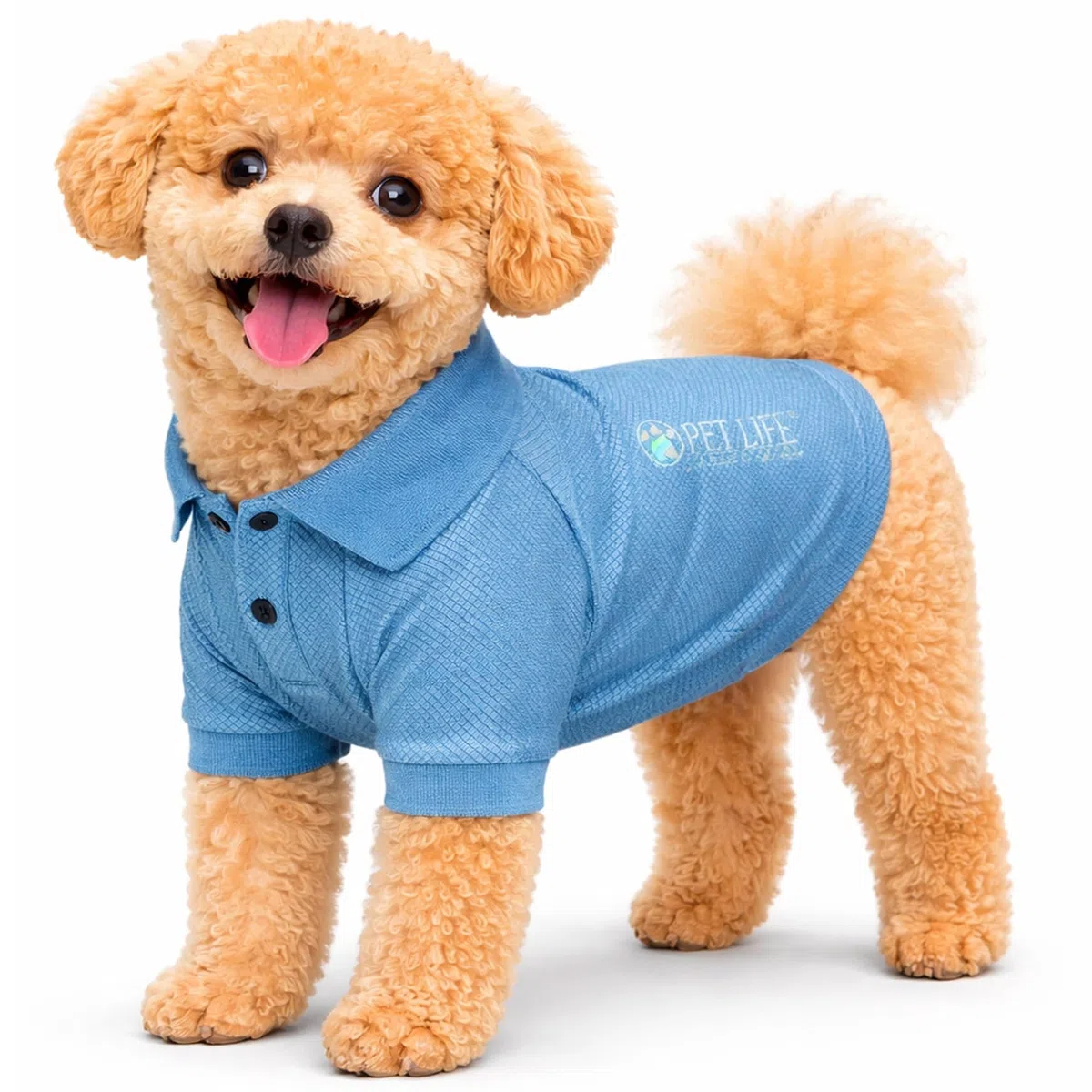 PetLife Active Playera Polo para Perro, a Prueba de mechas, elástica, a Prueba de Fugas, tamaño Mediano, Color Azul