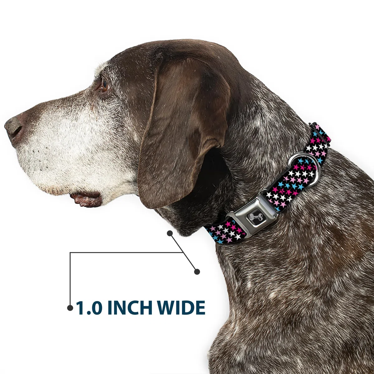 Buckle-Down DC-W31312-WS - Cinturón de Seguridad para Perro, tamaño pequeño, diseño de Estrellas, Color Negro, Rosa, Azul y Blanco