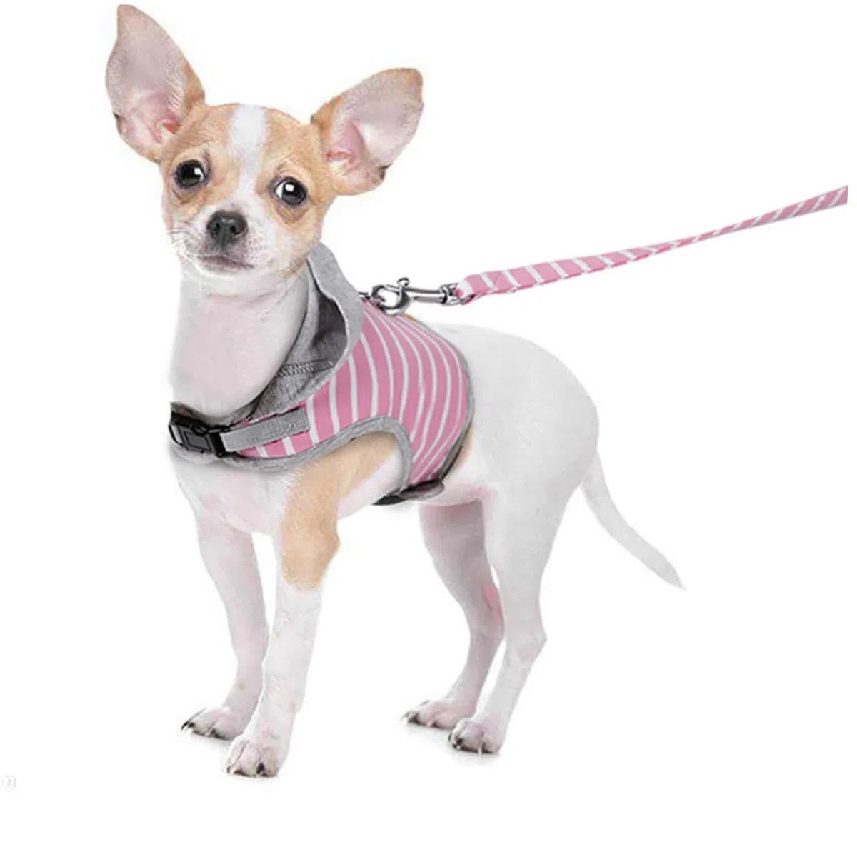 BESPORTBLE 2piezas Arnés y Correa para Gatos Diseño De Rayas Chaleco para Paseos Al Aire Seguridad Garantizada Talla