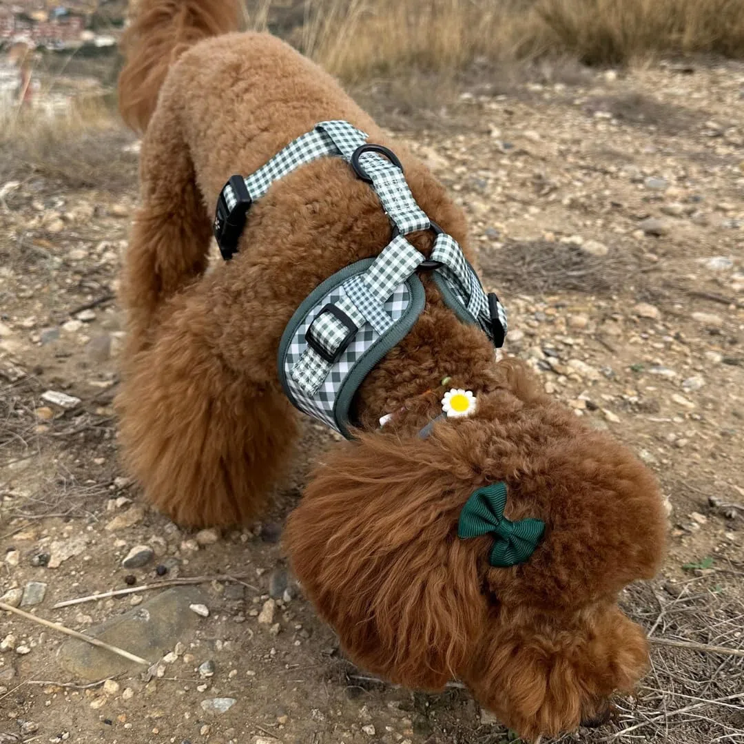 Pack Arnés,Correa y Portabolsas Caqui para Perro Ajustables de Neopreno – Diseño Vichy, Cómodos y Resistentes – 5 Tallas