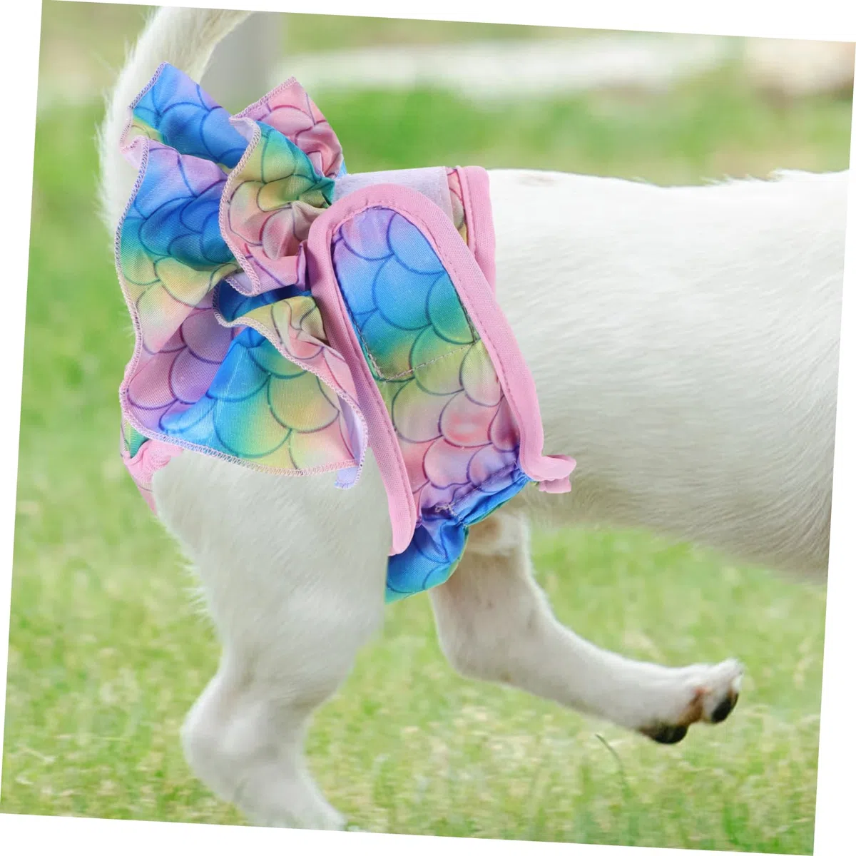 minkissy 4 Pantalones fisiológicos para Mascotas, para Perros machos, Pantalones de acoso para Perros, Pantalones físicos para Perros, Bragas sanitarias para Mascotas, Pantalones de Calor para