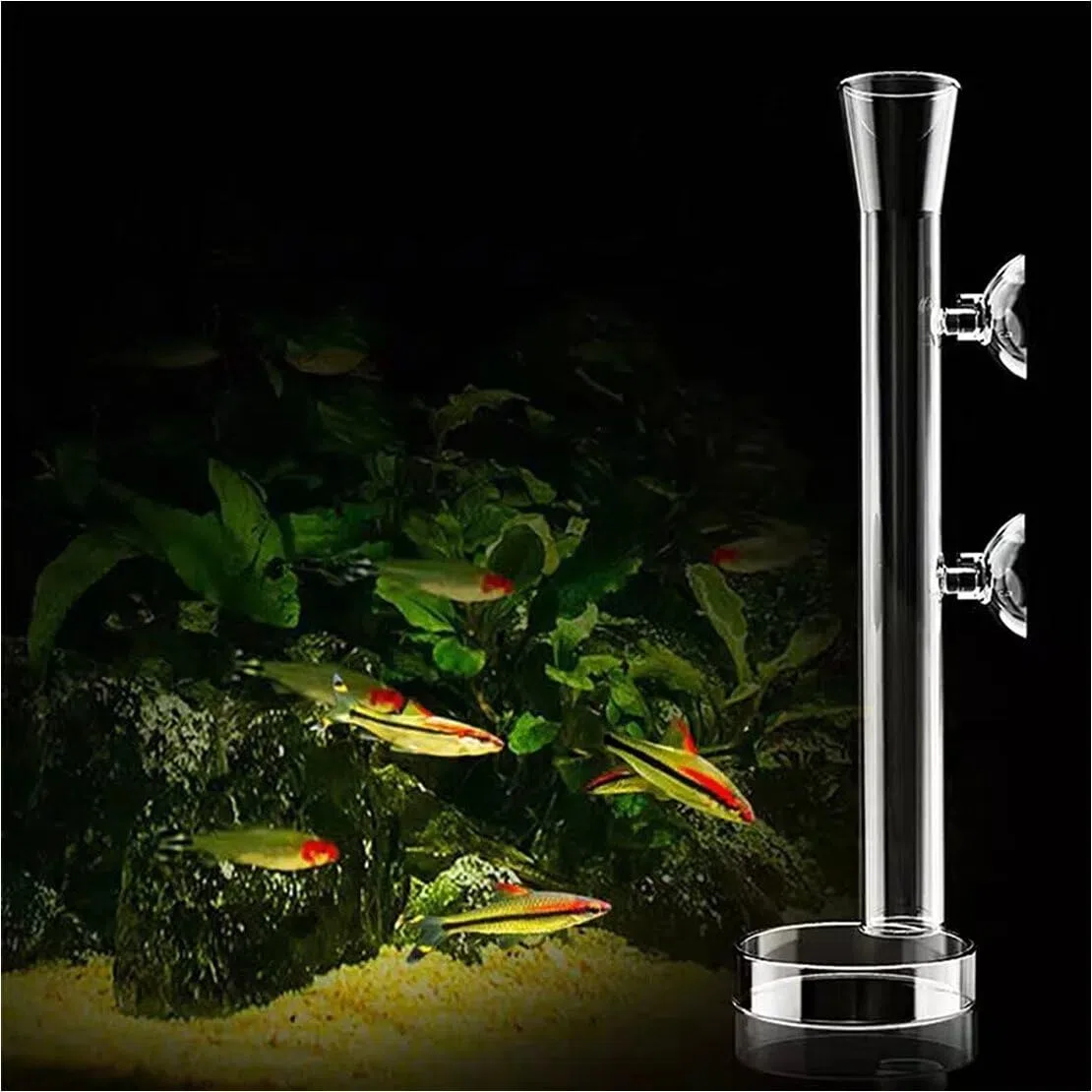 Tubo de alimentación de camarones de cristal transparente para acuario de 30 cm con ventosas, cuenco de alimentación, bandeja cuadrada