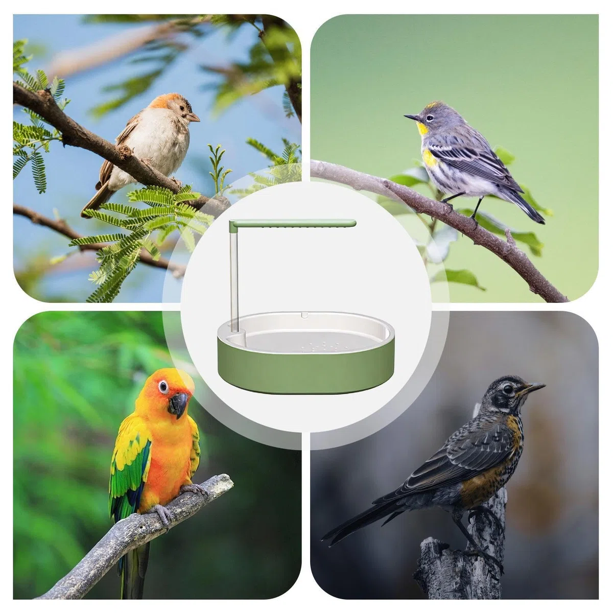 Baño para Pájaros Bañera con Base para Jaula | Tina de Baño para Cacatúa para Loros Periquitos Cotorras Ninfas Agapornis Colibrí Terraza Balcón