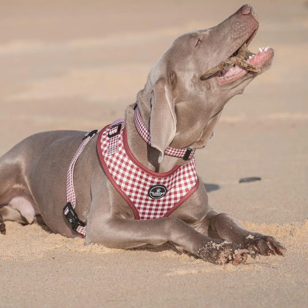Pack Arnés,Correa y Portabolsas Granate para Perro Ajustables de Neopreno – Diseño Vichy, Cómodos y Resistentes – 5 Tallas