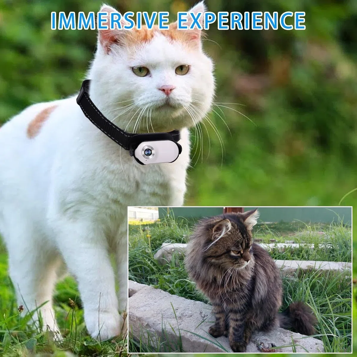 128G Blanco Gato Cámara Collar Cámara para Mascotas | Cámara para mascotas con pinzas de cámara para perros y gatos