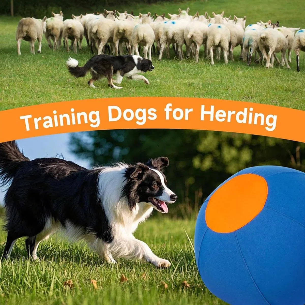 Pelota para perros de pastoreo Juguete interactivo de agilidad y | Pelota Entrenamiento Perros Para Parque Patio Trasero Césped Granja Patio Jardín Y Exterior