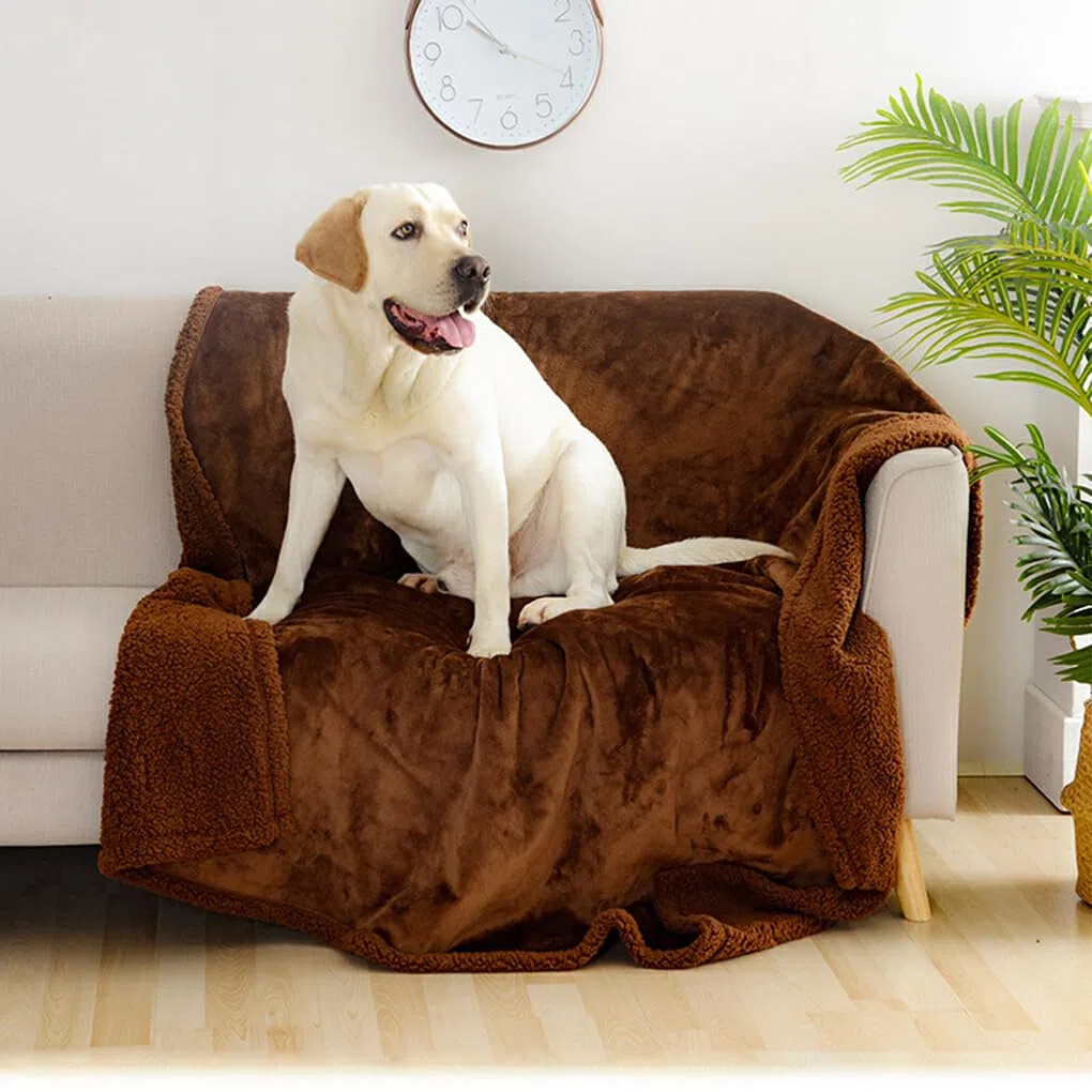 Manta suave y cómoda para mascotas, para perros y gatos, varios tamaños disponibles, manta impermeable para perros, manta para Gato, Café XL