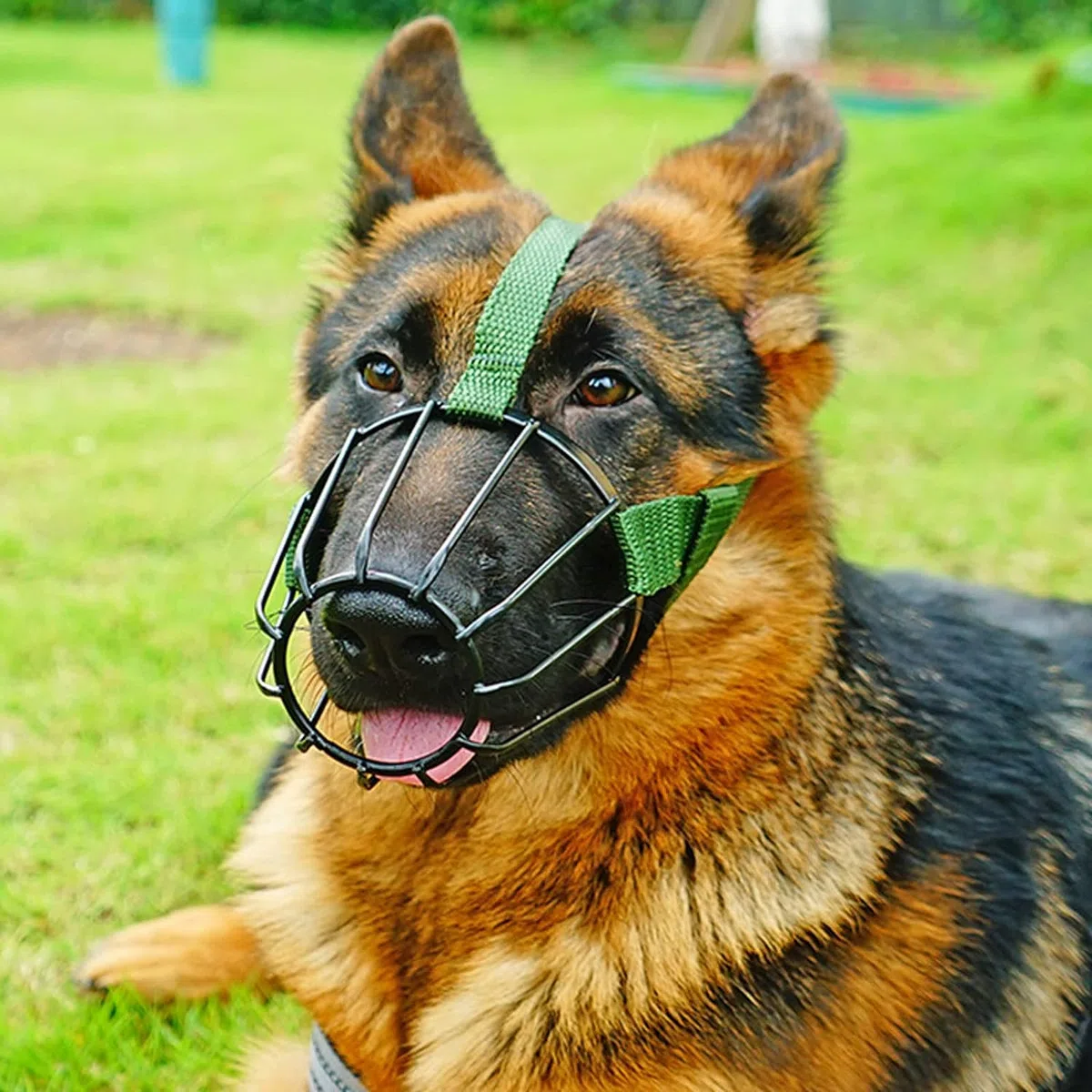 Bozales para Perros, Cesta Ajustable antiladridos y antimordeduras, Adecuada for Perros pequeños Grandes, no afecta Las Comidas(No.5mouthislong8 10cm)
