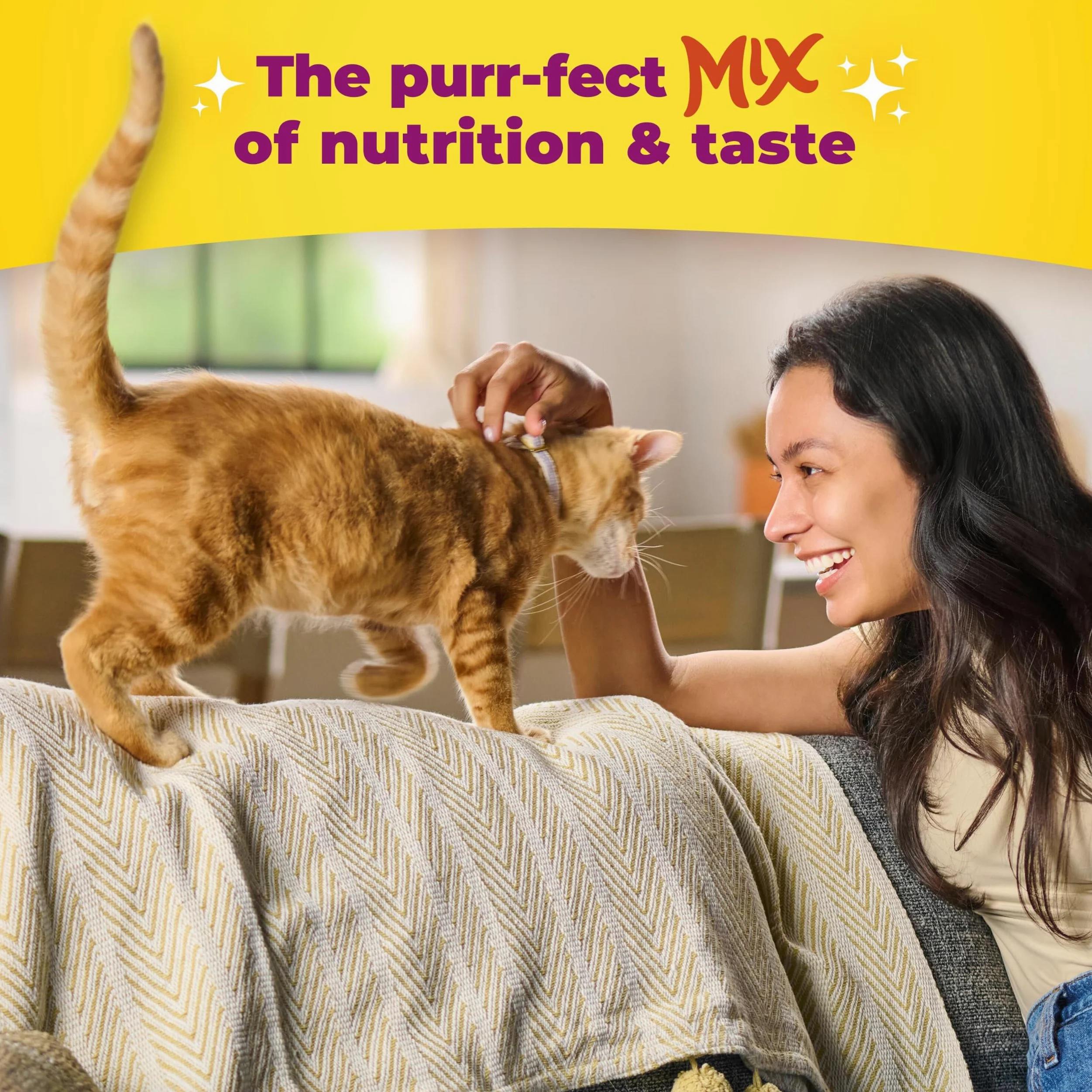 Meow Mix Original Choice - Alimento seco para Gatos, Bolsa de 6.5 Libras