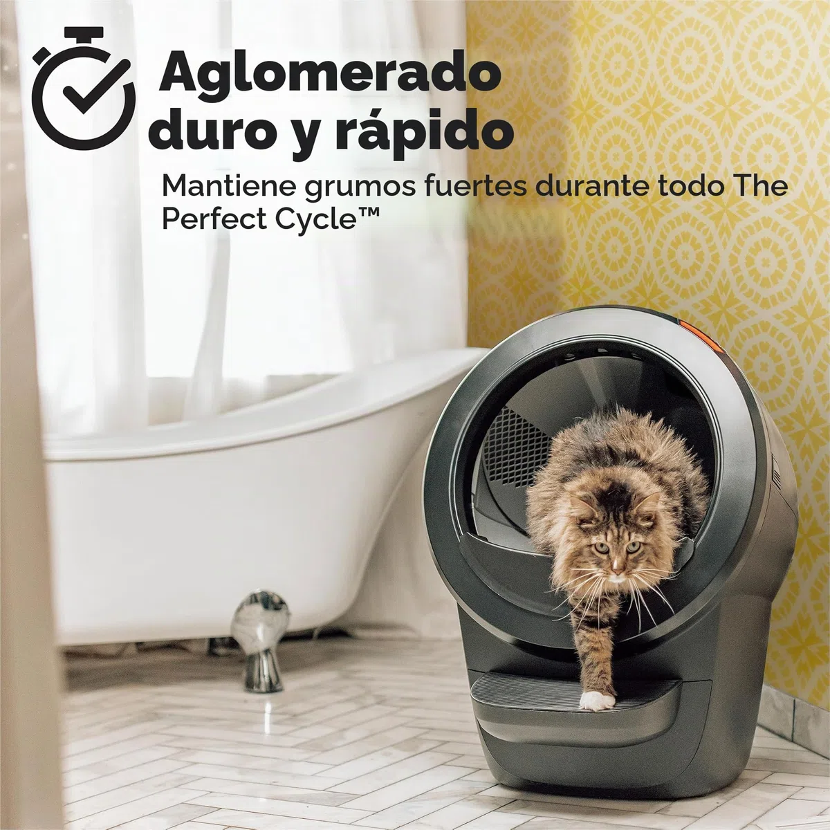 Purina Tidy Cats Arena para Gatos, fórmula de Control de olores para Gatos con Robot aglutinante, Caja de 22 Libras