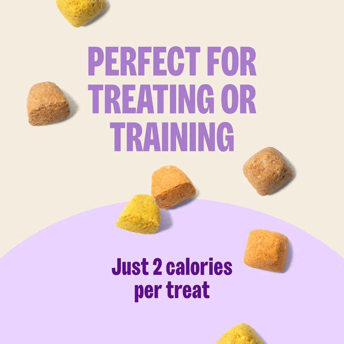Old Mother Hubbard Bitz Natural crujiente para Entrenamiento de Perros, Pollo, hígado y Verduras, Bolsa de 8 onzas