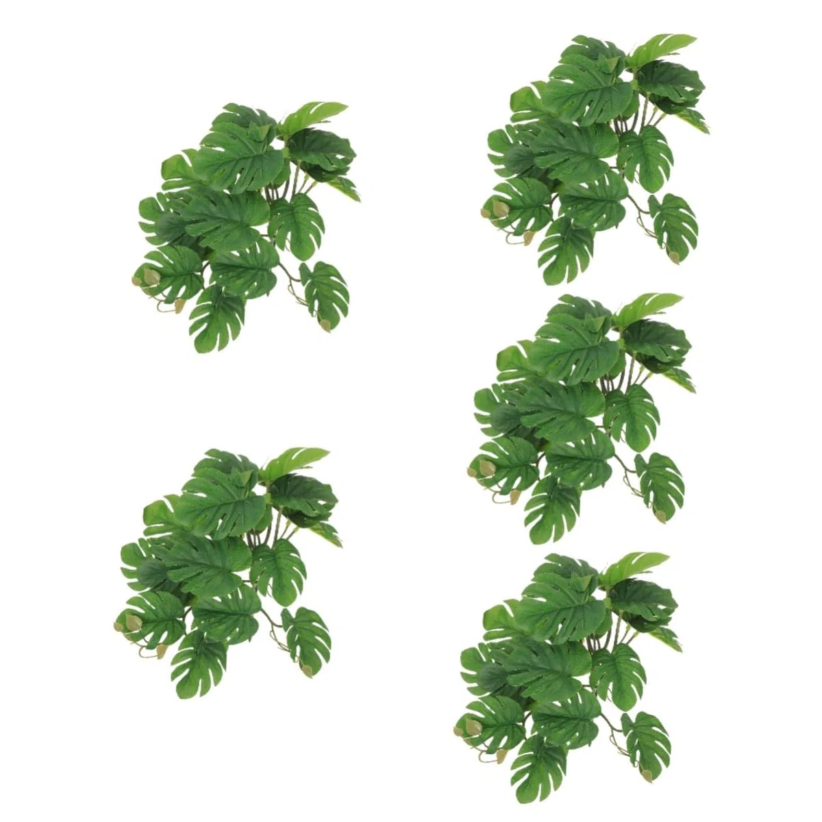 BESPORTBLE 5 Piezas De Decoración De Plantas De Reptiles Decoraciones De Terrarios Contenedores De Vidrio Enredaderas Terrarios De Reptiles Decoraciones Ligeras para El Hogar
