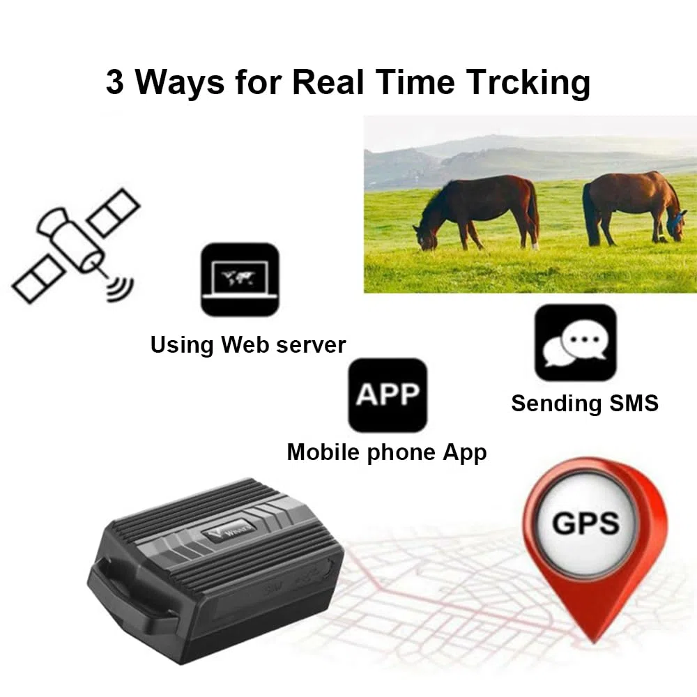 TKMARS Collar GPS 4G para Perros de Caza Caballos Vacas Ovejas 3000mAH Batería Localizador GPS para Animales Grandes Resistente al Agua IP66 Seguimiento en Tiempo Real, Alerta de Geocerca TK935