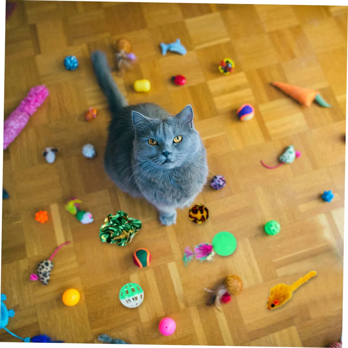 Milisten 40 Uds Conjunto De Navidad para Mascotas Juguete De para Gatos Divertido Palo para Gato Juguetes para Gatos Varita De Juguete Interactiva para Gatos Juguete De Peluche
