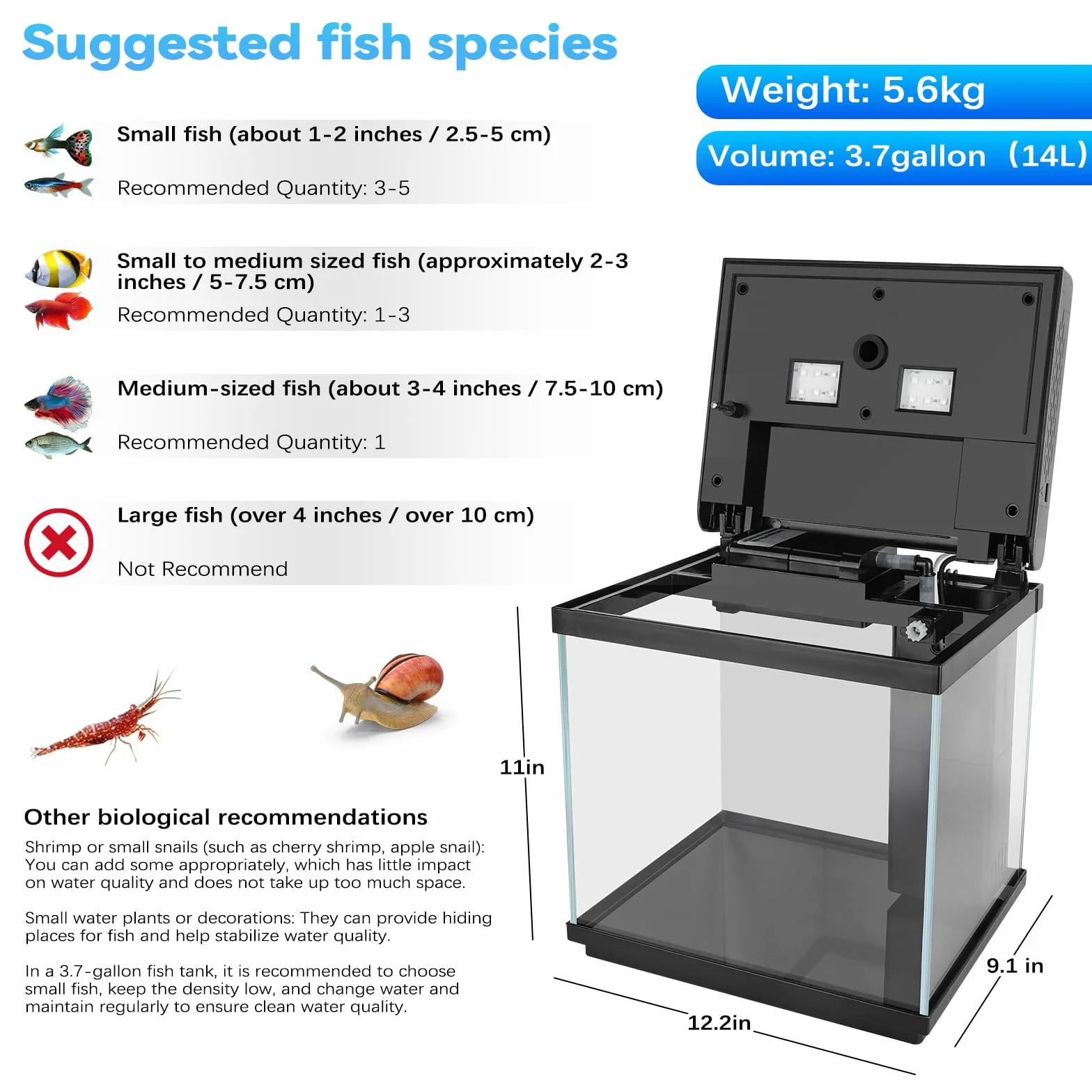 AQQA Kits de iniciación de acuario de 14 litros, pecera pequeña de cristal con filtro y luz LED, tanque de acuario nano ajustable de 10 colores, kit de tanque de peces tropicales autolimpiantes, para