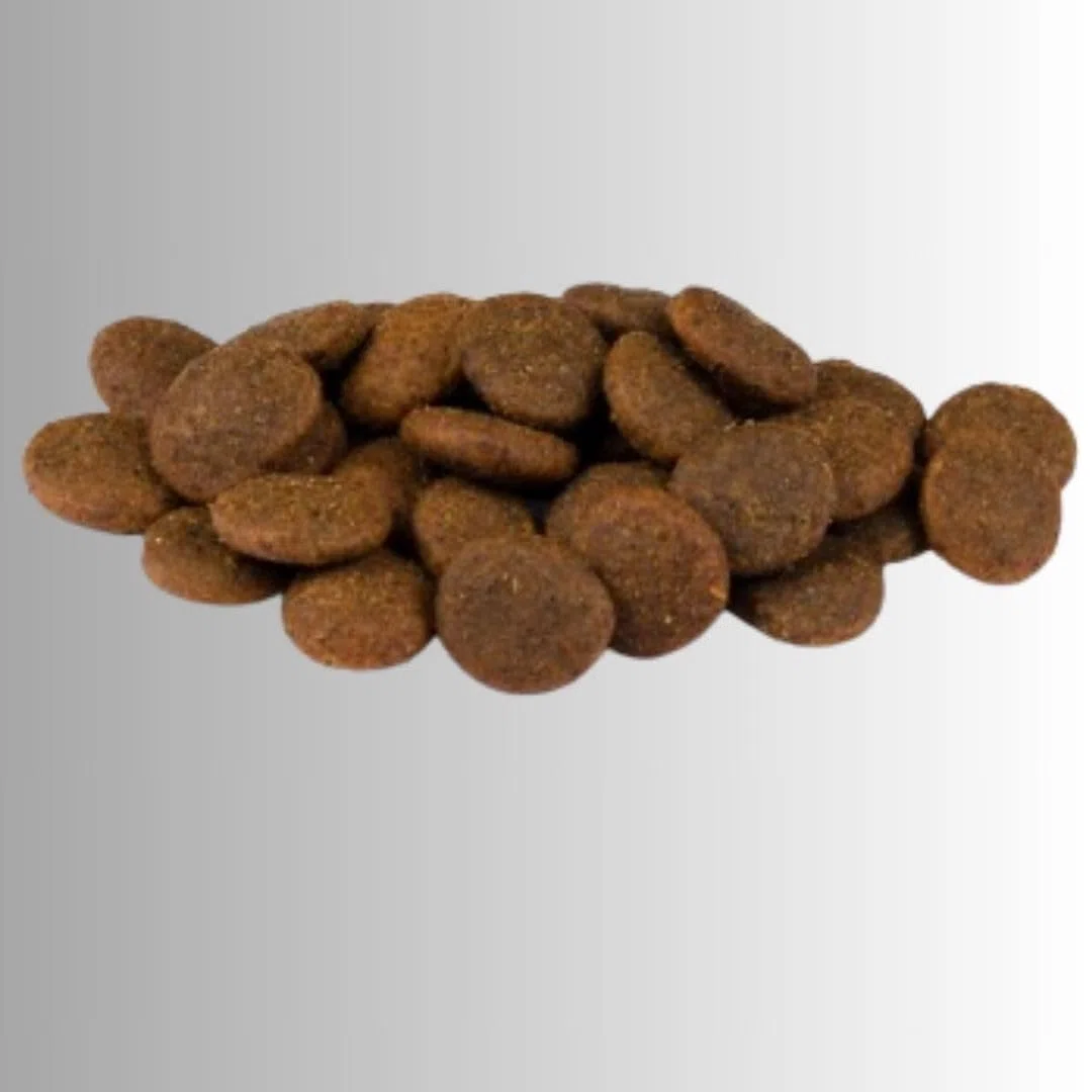 ANIMALUJOS - Carnilove True Fresh 4 kg + Lata Comida Húmeda 400 g Gratis | Pavo, Ternera o Pescado | Pienso Natural sin Cereales | Alta Digestibilidad Alimento para Perros (Ternera 4Kg + Regalo)
