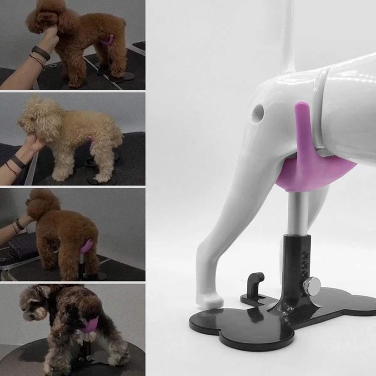 PANGBOER Ayuda para caminar para perros mayores con pata ajustable para mascotas de pie para mascotas de pie con marco para mascotas