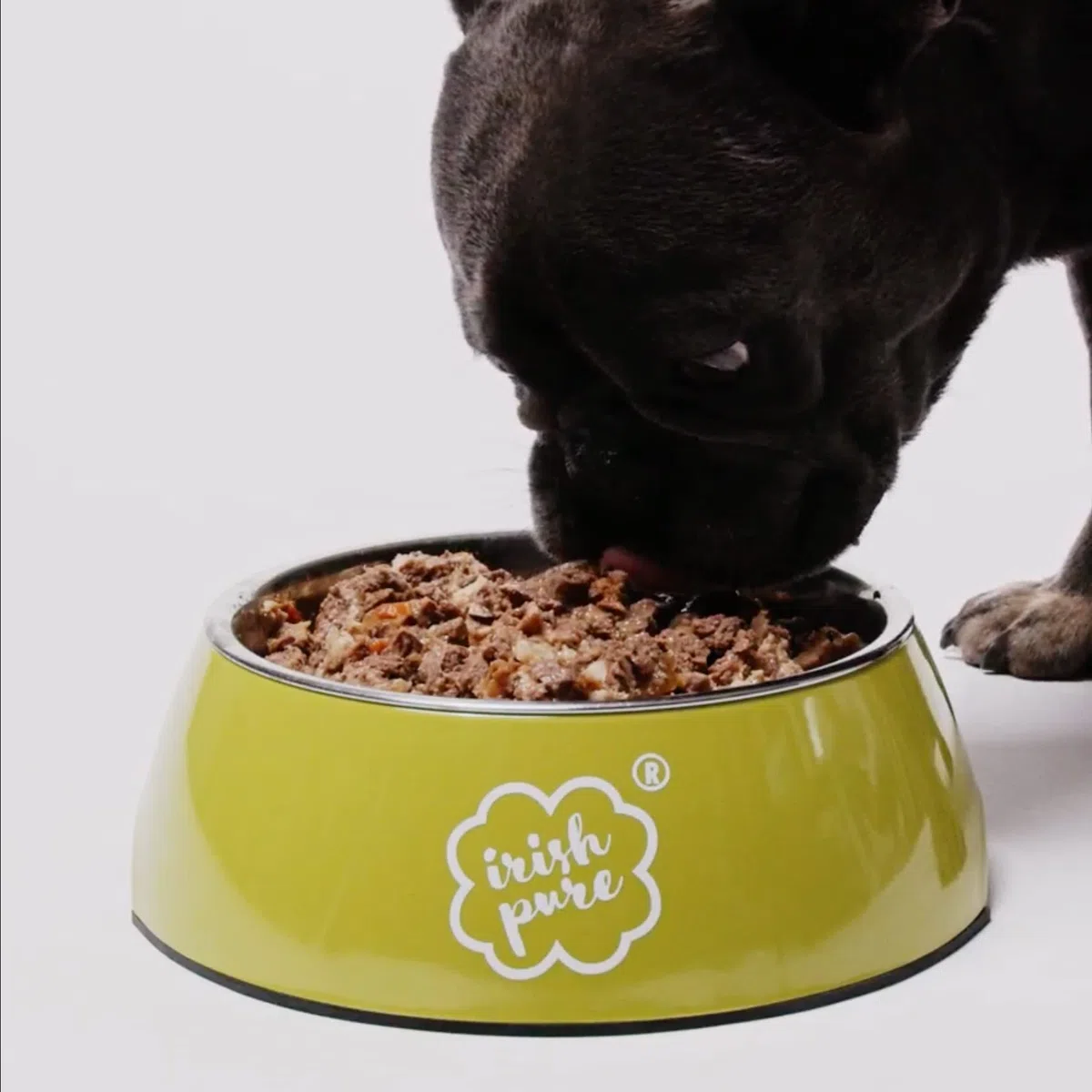 Irish Pure 12 latas de comida húmeda para perros, comida húmeda prémium irlandesa y pollo al aire libre, verduras y algas celp (12 latas de 390 g)