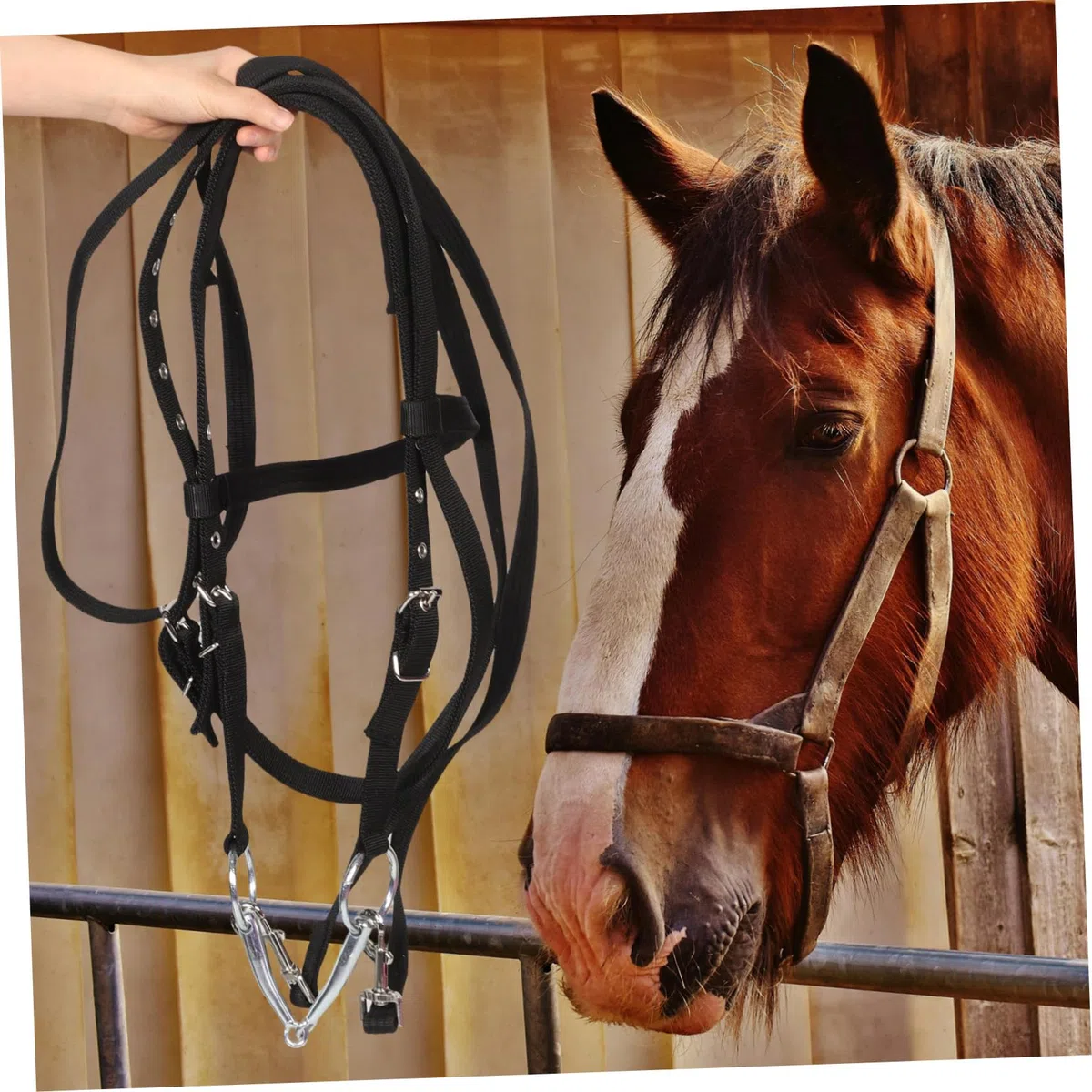 Cabestro de Cuerda Negro Pequeño de Nailon para Caballo