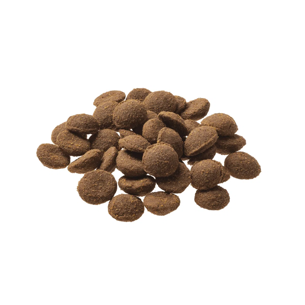 GranataPet Comida Favorita de Pavo Senior, Comida Seca para Perros, Comida para Perros sin Cereales y sin azúcares, pienso Completo, 10 kg | Alimento completo, sin cereales, sin azúcares añadidos, aceite de salmón y mejillón de labios verdes, fabricado en