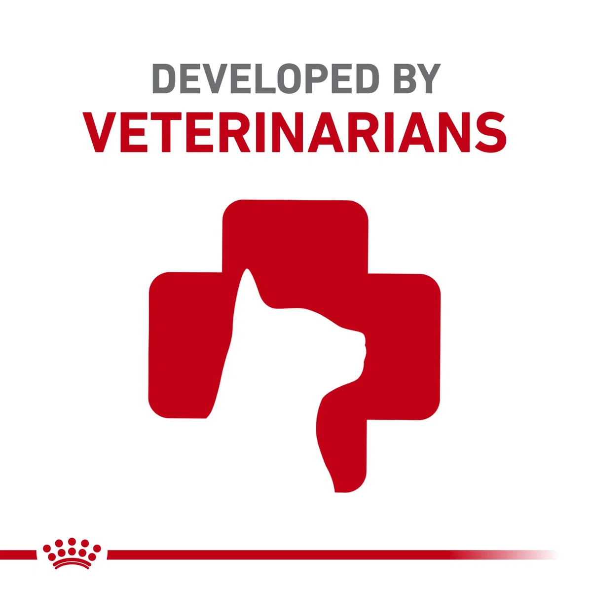 Royal Canin Expert Calm | 4 kg | Alimento Completo para Gatos Adultos | Posible Efecto Relajante | Proteína de Leche hidrolizada y L-triptófano
