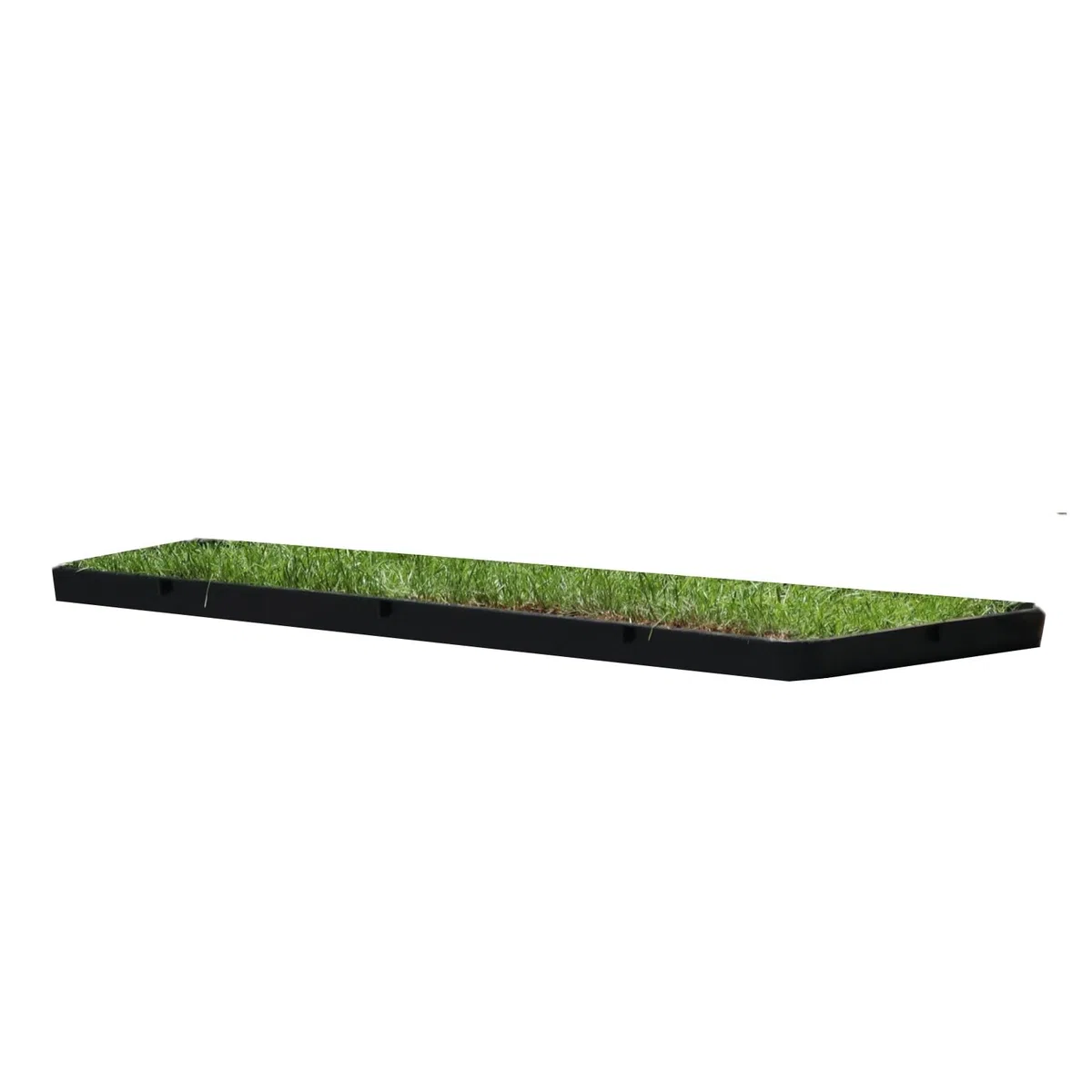 Arenero para Gatos, Cama de Césped Natural, Hierba Gatera, Alfombra Olfativa (117cm x 40cm - Pack XL)