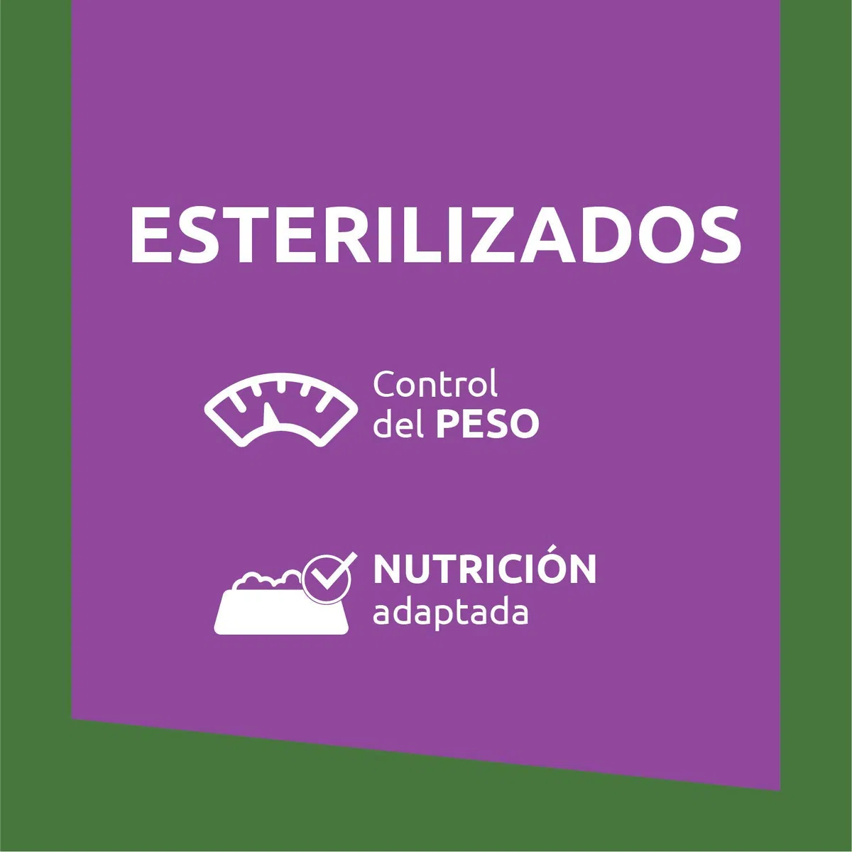 Ultima Comida Húmeda para Gatos con Pollo y Salmón, 4 x 85 gr x 12 (4.08 kg) & Comida Húmeda para Gatos con Buey y Atún, 12 x (4 x 85 gr), 4080g