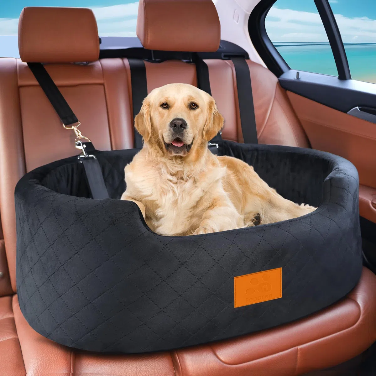 Asiento de coche para perros medianos de hasta 50 libras, asiento elevador para mascotas para automóviles, SUV y camiones, cama de viaje para perros con correa de seguridad, cojín grueso, base