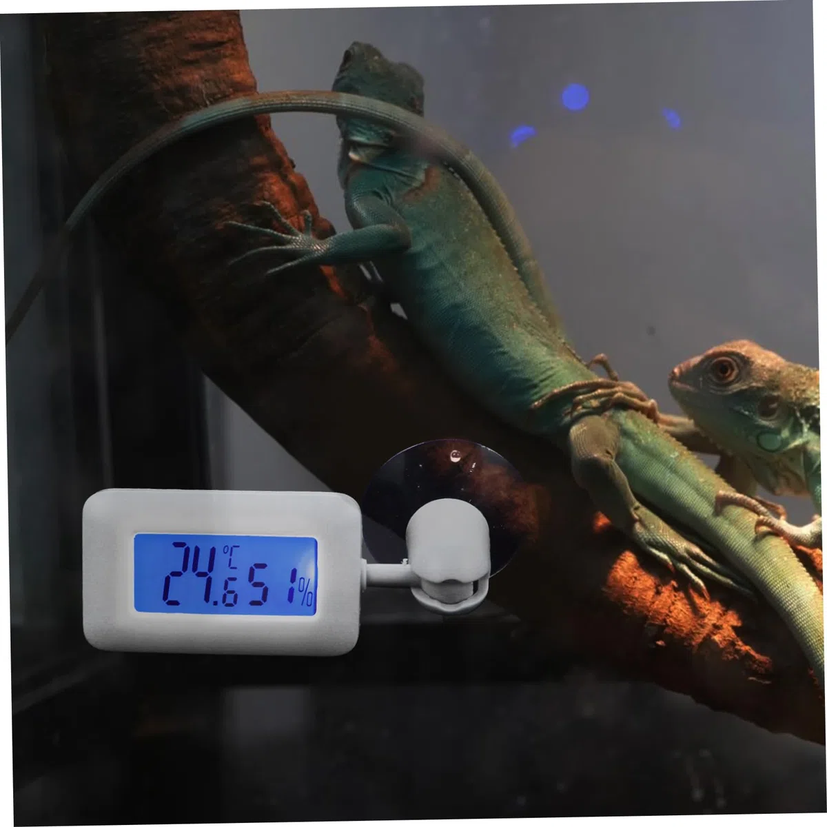 4 Termómetros Para Terrarios, Accesorios Para Reptiles, Accesorios Para Tanques De Reptiles, Medidor De Temperatura Para Terrarios, Higrómetros Para Terrarios.