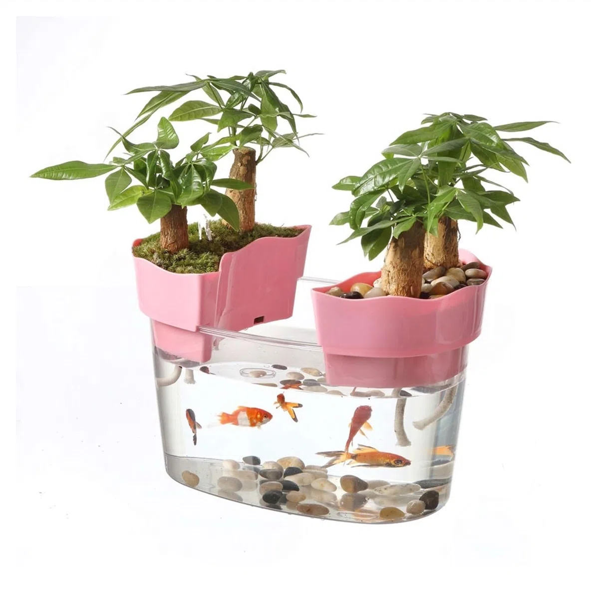 Pecera Tanque de Peces acrílico Transparente, Tanque de Tortuga, pequeño Tanque ecológico for acuarios, bonsái, Adornos de Escritorio Acuario(Pequeño)