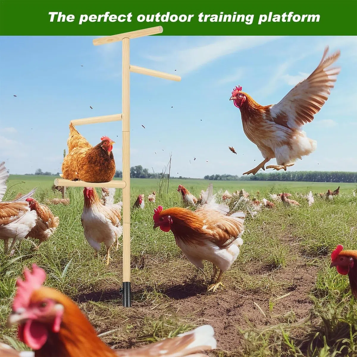 grande para perca para pollos - Perca para aves de corral, Soporte de perca para pollos al aire libre de hierro | Juguetes de enriquecimiento de pollos Rama de entrenamiento | Parque infantil, juguetes de enriquecimiento para pollos, percha e