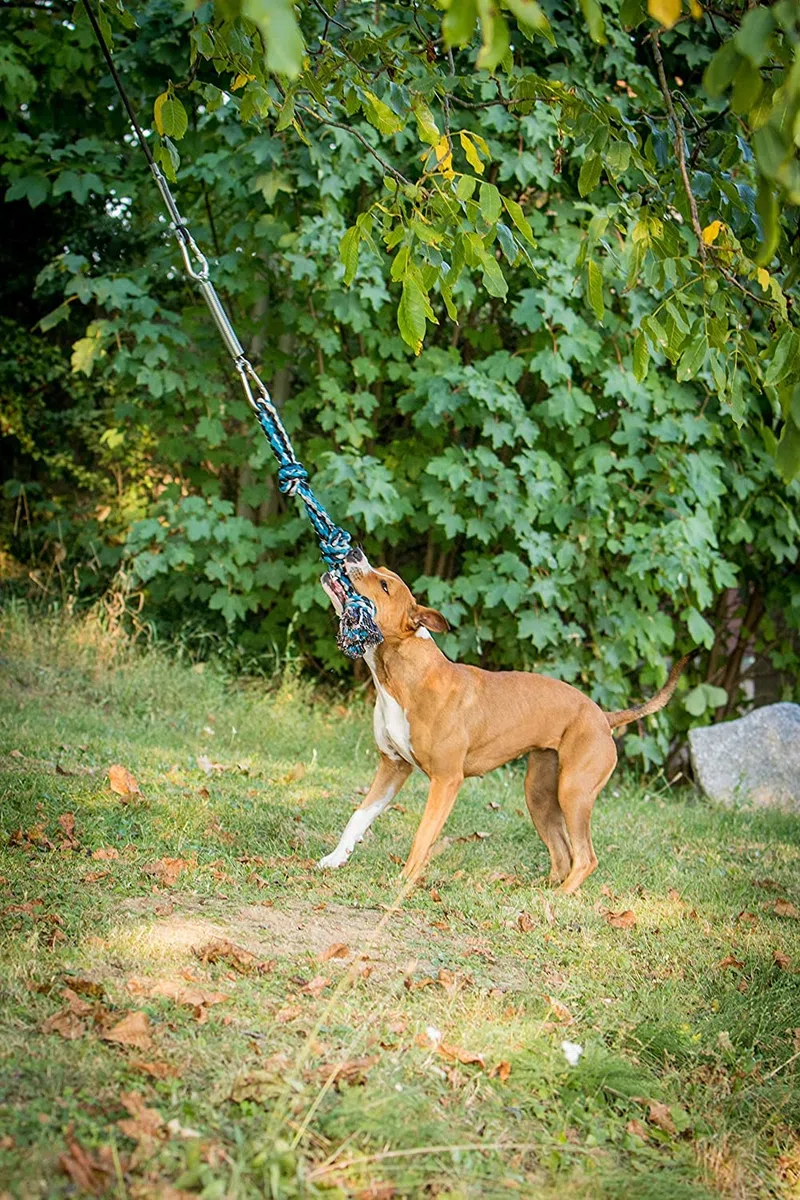YES4QUALITY Poste de coqueteo para Perros, 2 Postes de Resorte duraderos con Juguete de Cuerda Fuerte, señuelo Resistente para Cualquier tamaño, Divertido Entrenamiento de obediencia y Ejercicio