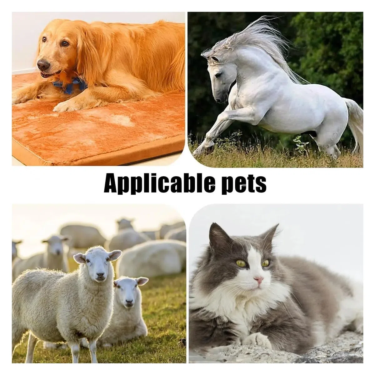 Cuchillas Anchas For Peluquería Canina, Compatibles Con Andis, Oster Y A5. Fácil Limpieza.