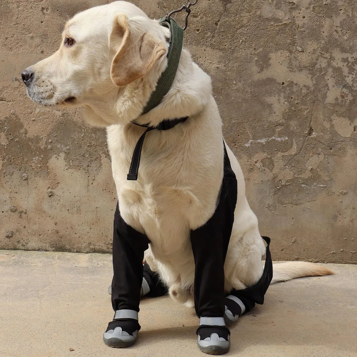 Botas Impermeables para Perros con Tirantes Protector de Patas Reflectante