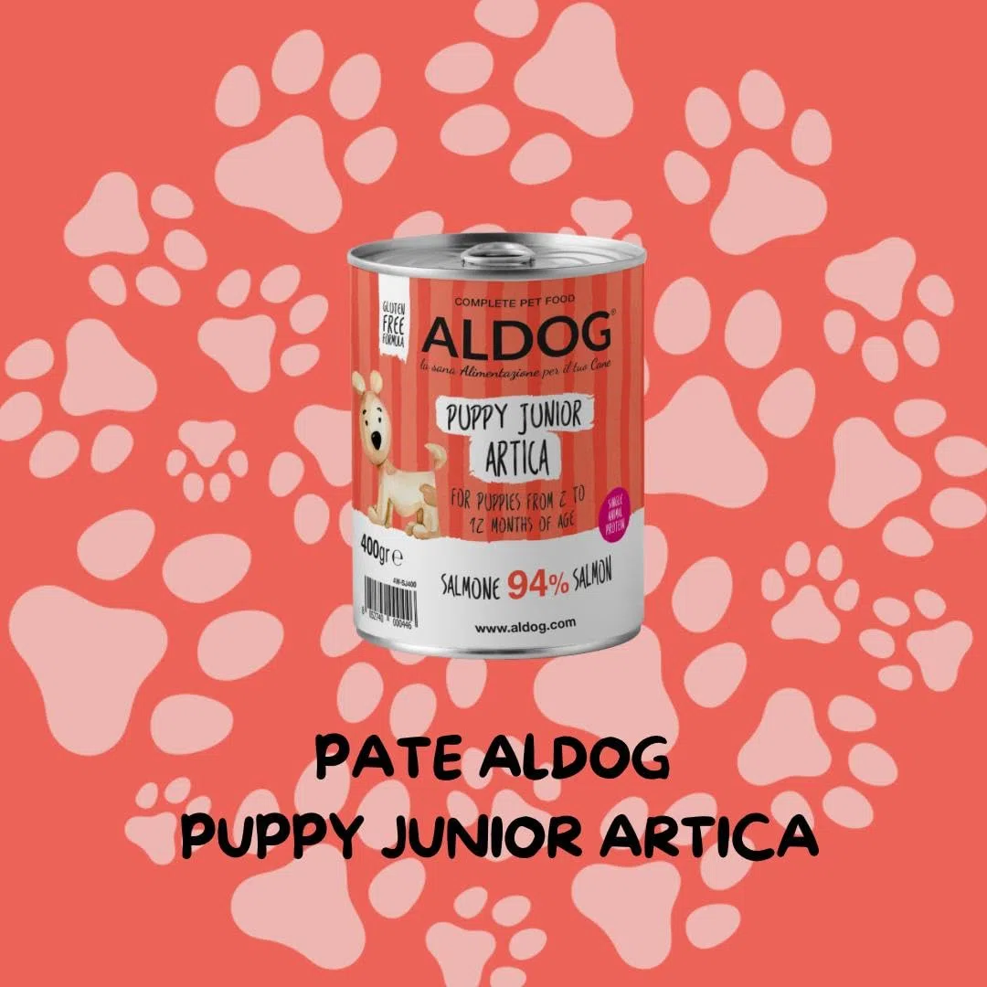 Puppy Aldog húmedo perro sabor salmón, paté para perros cachorros de todos los tamaños y razas, alimento completo para perros cachorros | 6 latas de 400 gramos cada una.