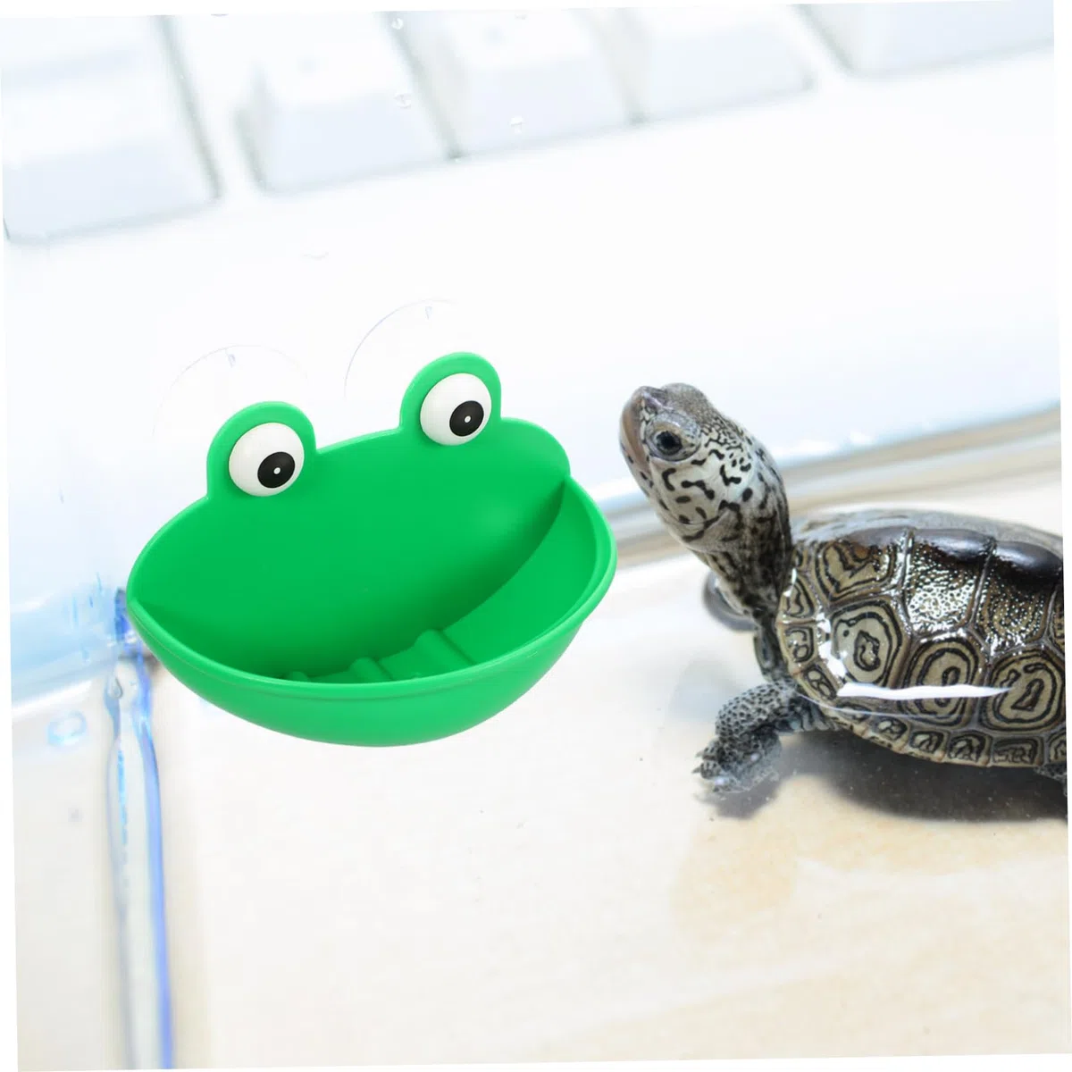 Beaupretty 6piezas Plataforma Decorativa para Terrario De Reptiles De Descanso y Alimentación para Mascotas Accesorios Multifuncionales para Decoración De Terrarios