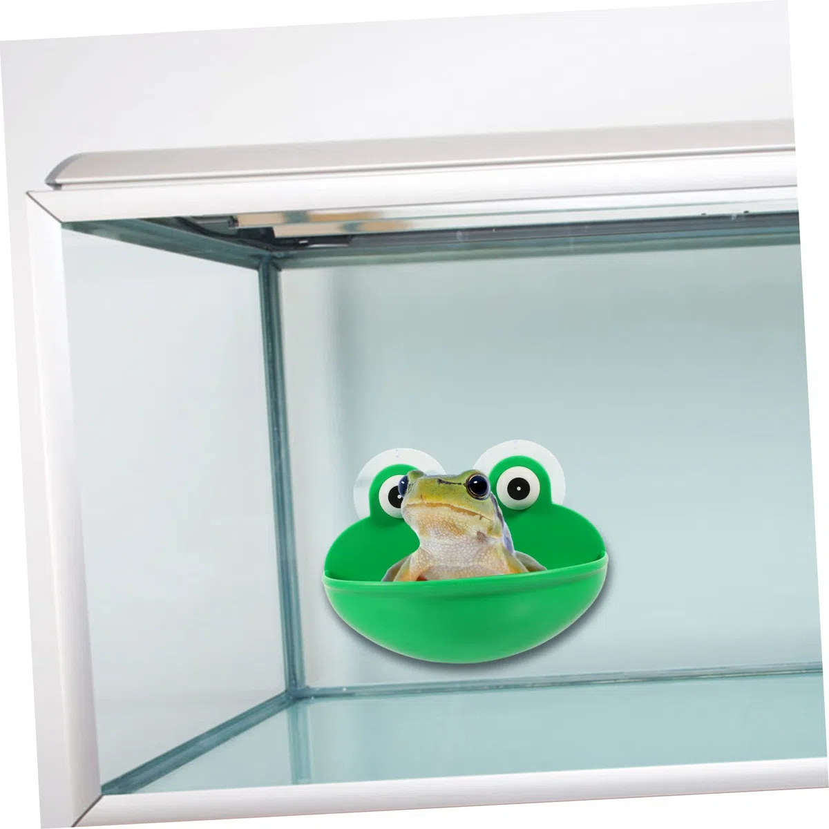 DOITOOL 6piezas Plataforma Decorativa para Reptiles Descanso y Alimentación Terrario Soporte Multifuncional para Reptiles y Mascotas Accesorios Seguros y Duraderos para Terrarios