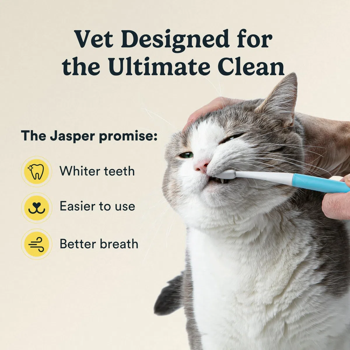 Jasper Microbrush Cepillo de Dientes para Gatos, Kit de Cepillo de Dientes de cerdas Suaves para Gatos, Cachorros y Perros pequeños, Mango Antideslizante 2 Cabezales de Cepillo
